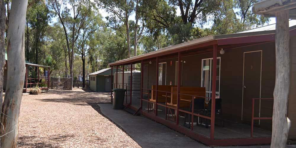 Bendigo Bush Cabins ภายนอก รูปภาพ